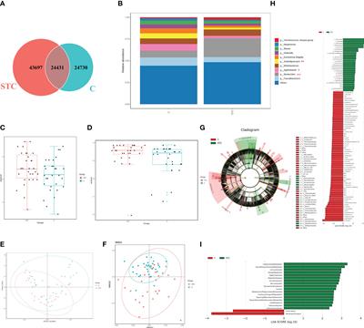 Abnormal bile acid metabolism is an important feature of gut microbiota and fecal metabolites in patients with slow transit constipation